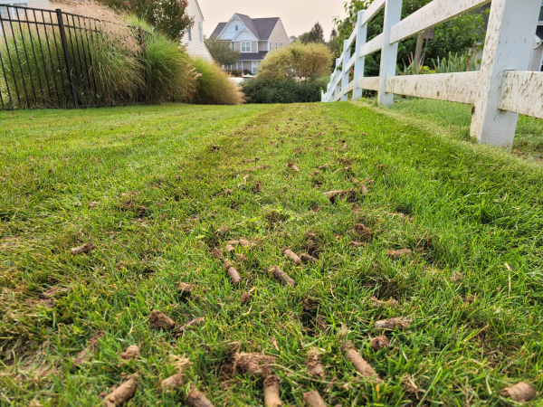 Lawn Aeration & Overseeding | DTL Total Turf Care