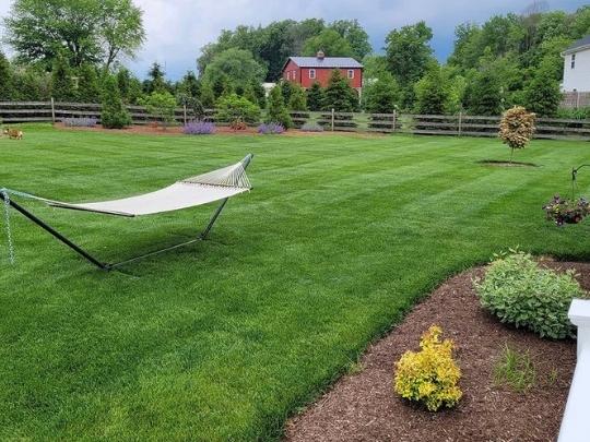 Best lawn service best sale company