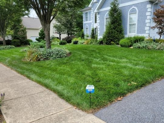 Expert lawn care services in Exton, PA