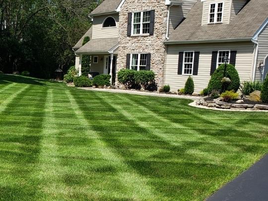 Expert lawn care services Exton, PA.