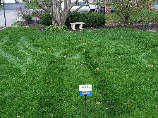 Lawn care treatments in Frazer, PA.